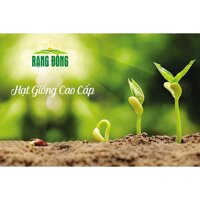 Hạt Giống Rau Mầm Củ Cải Trắng Rado 01 50gr- NON GMO- Hạt giống Rạng Đông, Chất lượng vượt trội