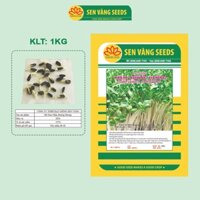 Hạt Giống Rau Mầm Hướng Dương - Nhập khẩu Ý, nảy mầm đều >95%, vị béo nhẹ, mùi thơm đặc trưng - HẠT GIỐNG SEN VÀNG