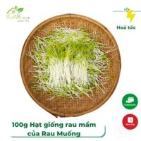 Hạt Giống Rau Mầm Rau Muống