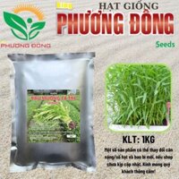 Hạt giống Rau Muống Lá Tre (GÓI 1KG) dễ trồng, năng suất cao, trồng quanh năm - Hạt giống King Phương Đông