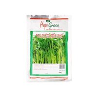 Hạt giống Rau muống mầm
