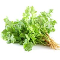 HẠT GIỐNG RAU NGÒ 1kg - HẠT GIỐNG NGÒ (chi lăng shop 47)