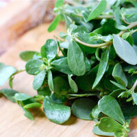 HẠT GIỐNG RAU SAM - 1 GRAM