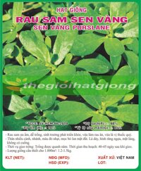 HẠT GIỐNG RAU SAM - 1GR