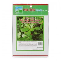 HẠT GIỐNG RAU SAM