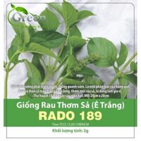 Hạt Giống Rau Thơm Sả É Trắng