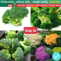 Hạt giống súp lơ F1 Mix nhiều màu loại siêu dễ trồng chống sâu bệnh năng xuất cao
