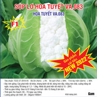 Hạt giống Súp Lơ Trắng Lai F1 Hoa Tuyết (VA.083) 2.500 hạt