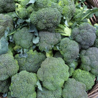 HẠT GIỐNG SÚP LƠ XANH - 0,5 GRAM