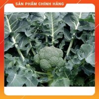 Hạt giống súp lơ xanh F1 gói 10gram- 2500H