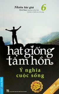 Hạt Giống Tâm Hồn 6 - Ý Nghĩa Cuộc Sống