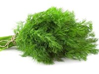 Hạt giống thì là 1kg