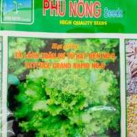 Hạt giống xà lách xoăn xanh