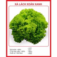 Hạt Giống Xà lách Xoăn Xanh 5gr