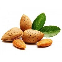 HẠT HẠNH NHÂN MỸ CÒN VỎ 1KG