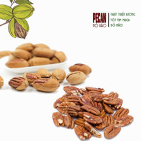 Hạt hồ đào, nhân hồ đào Mỹ sấy chín vị tự nhiên, FONUT ngọt, bùi không bị hôi dầu giúp đẹp da, tóc