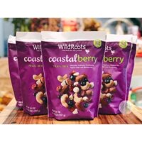 Hạt hỗn hợp Wildroots Coastal Berry Trail Mix của Mỹ_737g