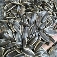 Hạt Hướng Dương Duy Ký 1 kg