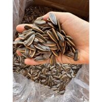Hạt hướng dương sấy chín nguyên vị hạt to hàng mới
