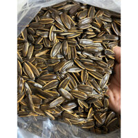 Hạt Hướng Dương Vị Dừa 5kg