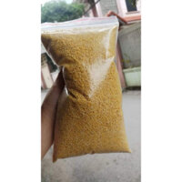 Hạt kê nếp vàng nghệ an gói 1kg