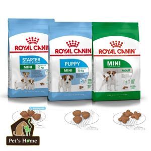 Hạt khô Royal Canin Mini Starter 1kg