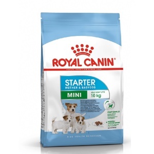 Hạt khô Royal Canin Mini Starter 1kg