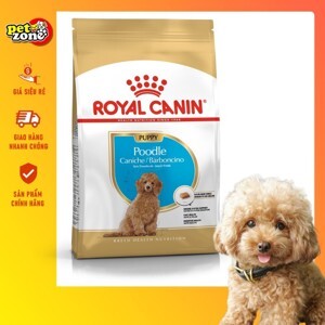 Hạt khô Royal Canin Poodle Puppy 1.5kg