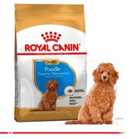 hạt khô thức ăn cho chó poodle con dưới 10 tháng tuổi Royal Canin Poodle Puppy 1,5kg sản xuất tại Pháp