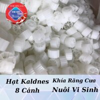 Hạt lọc Kaldnes – Gía Thể Nuôi Vi Sinh Lọc Nước Hồ Koi
