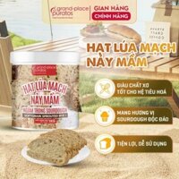 Hạt lúa mạch nảy mầm ngâm sourdough - 4018298