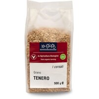 Hạt lúa mì hữu cơ Sottolestelle 500g