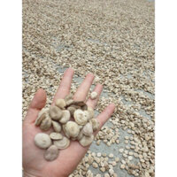 hạt mã tiền 500g -1kg