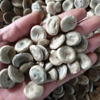 Hạt mã tiền nhung 1kg