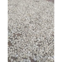 hạt mã tiền trắng (1kg)
