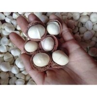 HẠT MACCA SẤY KHÔ ĐẮK NÔNG 1KG