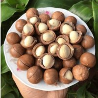 Hạt Macca Úc chưa tách vỏ 500g Nhập khẩu có đủ Hóa đơn, Giấy tờ