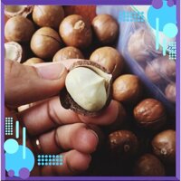 Hạt Macca Úc Nứt Vỏ Tự Nhiên, Tặng Khui Vỏ Hủ Pet 500g - Trùm Ăn Vặt - N FOOD