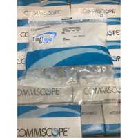 Hạt mạng Cat5, AMP, Commscope