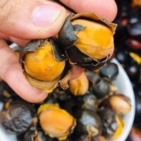 Hạt mề gà Tây Bắc