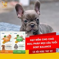 Hạt Mềm Cho Chó Bull Pháp Mọi Lứa Tuổi | Sort Balance vị thịt vịt hoặc cá hồi | VC Pet Shop