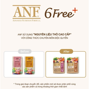 Hạt Mèo ANF 6Free Natural for Indoor Kitten Cat Mèo Con 200g