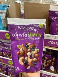 Hạt mix và trái cây sấy tổng hợp Wildroots Coastal Berry Trail Mix