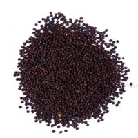 Hạt Mù Tạt Đen Black Mustard Seed - Xuất xứ Ấn Độ 500g