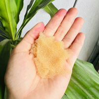 Hạt nhựa cation Trung Quốc trao đổi ion, khử cứng cho nước