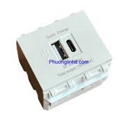 Hạt ổ cắm USB và USB Type-C lắp mặt Panasonic âm tường dùng để sạc điện thoại, máy tính bảng