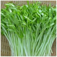 Hạt rau mầm rau muống Thái Lan siêu giòn ngọt -200g