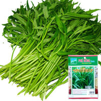 Hạt rau muống gói 100 gram Phú Nông trồng quanh năm tỷ lệ nẩy mầm cao