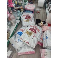 Hạt Royal Canin Kitten 10kg, Indoor 10kg, Fit 10kg