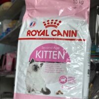 HẠT ROYAL CANIN KITTEN  TÚI 1KG